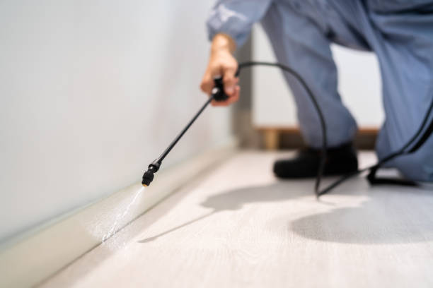 Licensed Exterminator service in Saline, MI - Show Me Pest Control